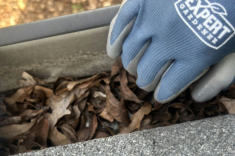 Gutter Cleaning Lyman