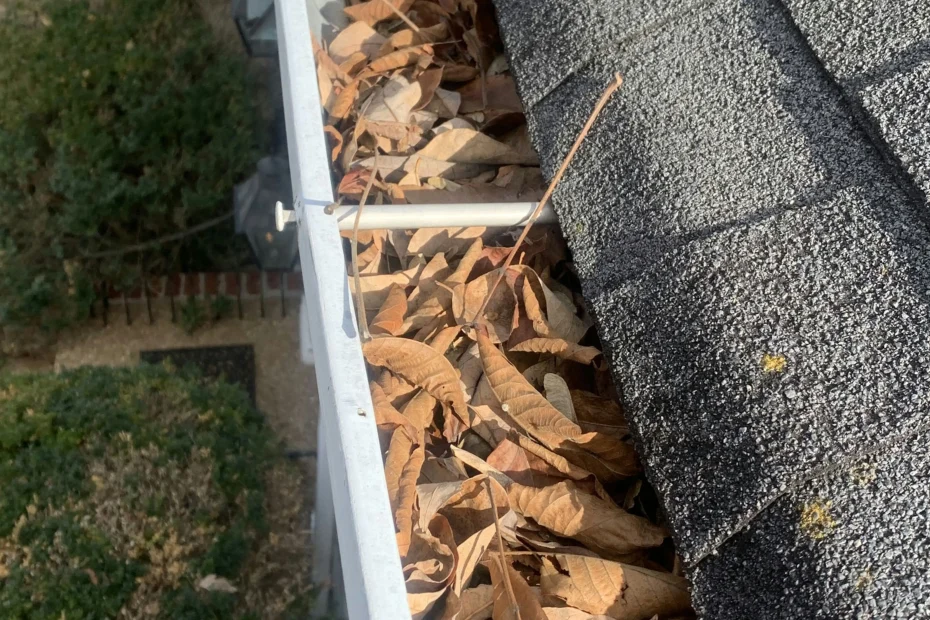 Gutter Cleaning Lyman