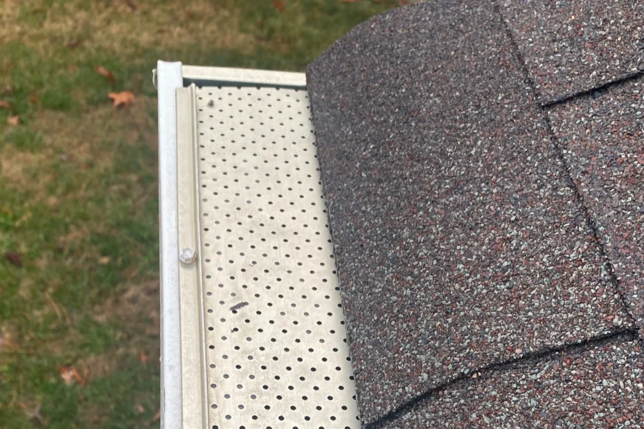 Gutter Cleaning Lyman