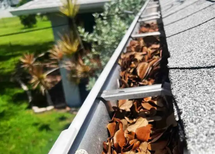 Gutter Cleaning Lyman home page